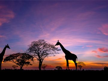  alt="Exoticca lands €60M investment to grow multi-day tours platform"  title="Exoticca lands €60M investment to grow multi-day tours platform" 
